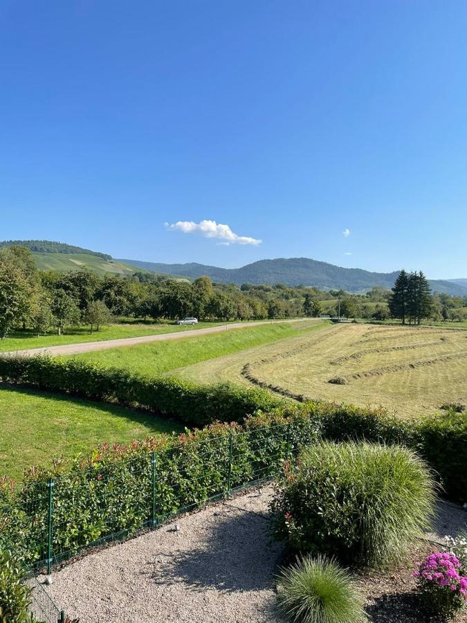 Ferienwohnung Reblandblick Baden-Baden Dış mekan fotoğraf