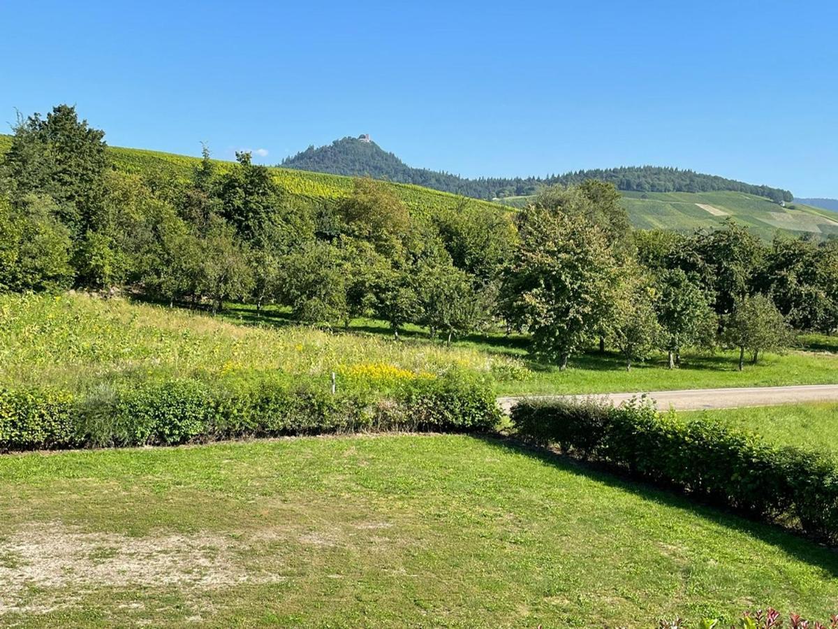 Ferienwohnung Reblandblick Baden-Baden Dış mekan fotoğraf